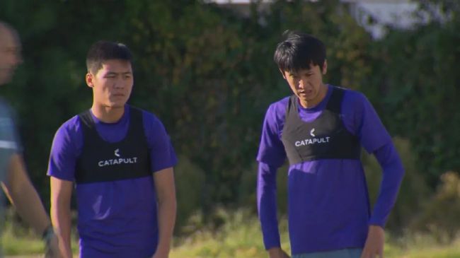 在线视频日本亚洲性