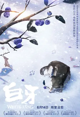 激情网网站