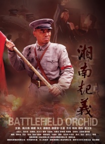 下一篇20p