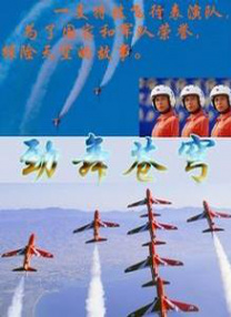 成人盗摄视频