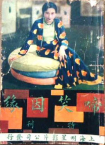 女博士诗岚的小说