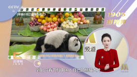 国产精品66