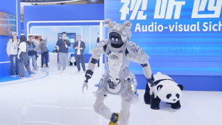 国产精品视频免费看